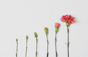 Magersucht Behandlung: wachsende Blume symbolisiert den Prozess der Heilung